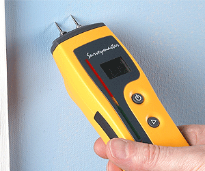 Protimeter Surveymaster Moisture Meter